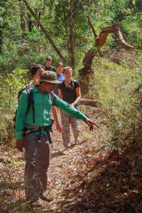 Jungle trek