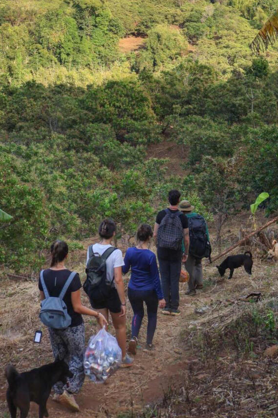 Jungle trek Jungle trek