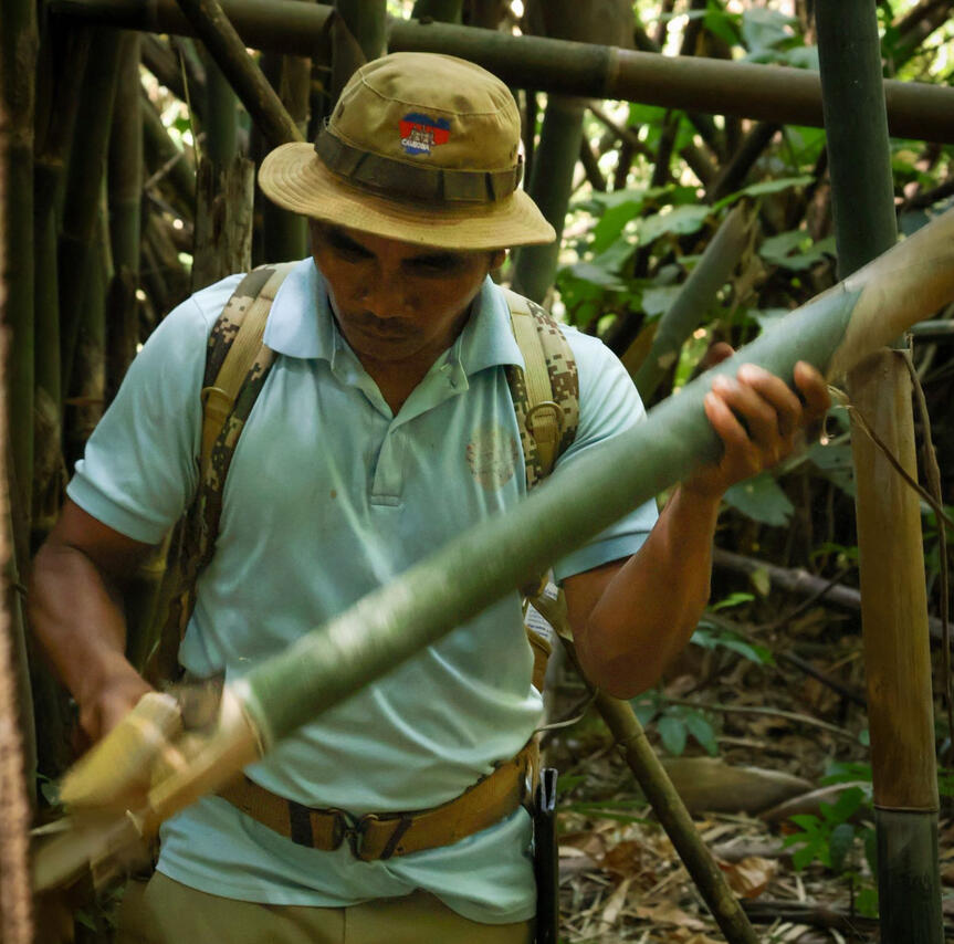 Jungle trek Jungle trek